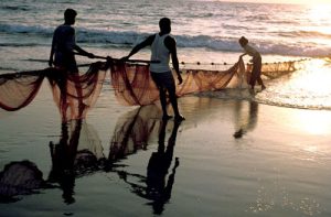 Fishing of Goa